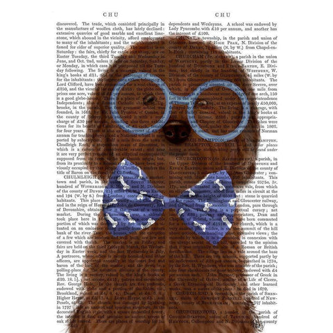 Cockerpoo, Chocolate, with Glasses and Bow Tie Gold Ornate Wood Framed Art Print with Double Matting by Fab Funky