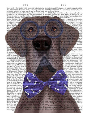 Great Dane with Glasses and Bow Tie Black Ornate Wood Framed Art Print with Double Matting by Fab Funky