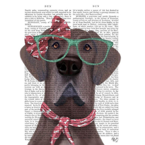 Great Dane with Glasses and Scarf Black Modern Wood Framed Art Print with Double Matting by Fab Funky