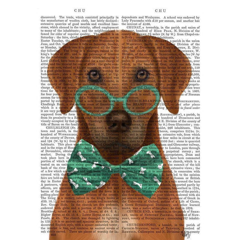 Rhodesian Ridgeback with Glasses and Bow Tie Black Modern Wood Framed Art Print by Fab Funky