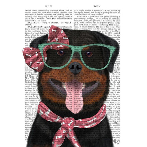 Rottweiler with Glasses and Scarf Black Modern Wood Framed Art Print with Double Matting by Fab Funky