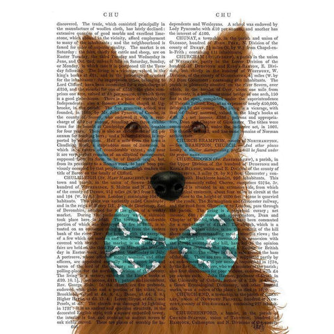 Yorkshire Terrier with Glasses and Bow Tie Black Modern Wood Framed Art Print with Double Matting by Fab Funky