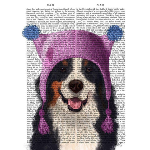 Bernese And Bobble Hat White Modern Wood Framed Art Print by Fab Funky