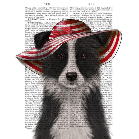 Border Collie in Red and White Floppy Hat White Modern Wood Framed Art Print by Fab Funky