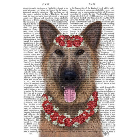 German Shepherd Edelweiss Black Modern Wood Framed Art Print with Double Matting by Fab Funky