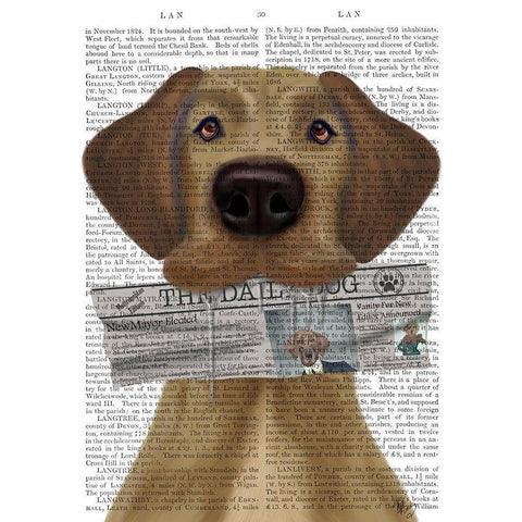 Great Dane Newspaper Black Modern Wood Framed Art Print with Double Matting by Fab Funky
