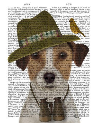 Jack Russell Bird Watcher Black Ornate Wood Framed Art Print with Double Matting by Fab Funky