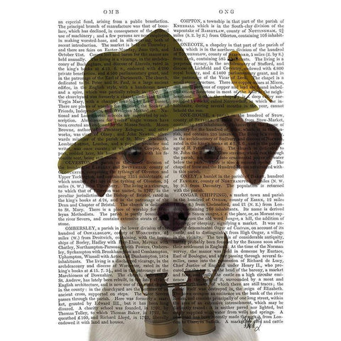 Jack Russell Bird Watcher Black Modern Wood Framed Art Print with Double Matting by Fab Funky