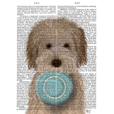 Labradoodle, Cream, Food Bowl Black Modern Wood Framed Art Print with Double Matting by Fab Funky