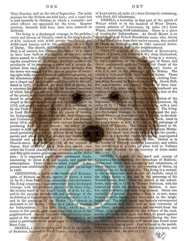 Labradoodle, Cream, Food Bowl White Modern Wood Framed Art Print with Double Matting by Fab Funky