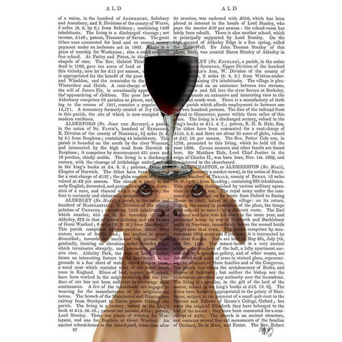 Dog Au Vin, Pit Bull Gold Ornate Wood Framed Art Print with Double Matting by Fab Funky