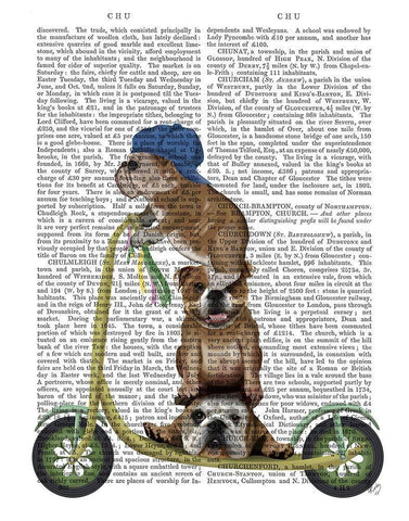 English Bulldog Scooter White Modern Wood Framed Art Print with Double Matting by Fab Funky