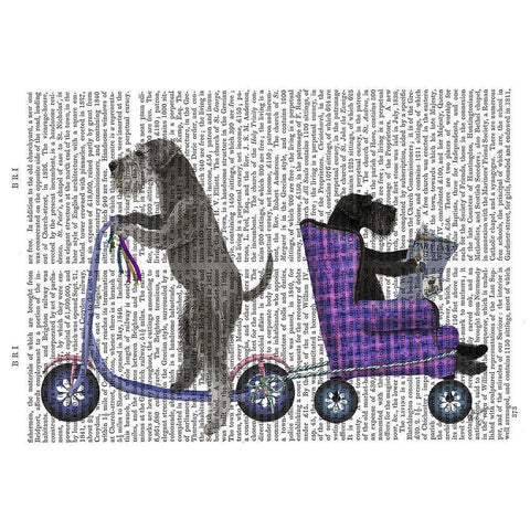Schnauzer Scooter White Modern Wood Framed Art Print by Fab Funky