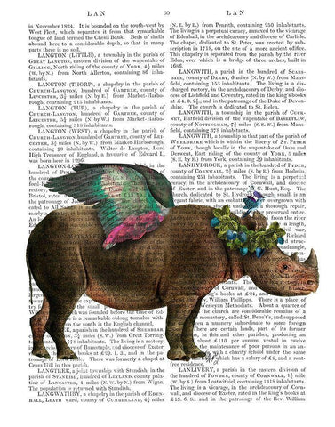 Rhino with Strawberry Crown White Modern Wood Framed Art Print with Double Matting by Fab Funky