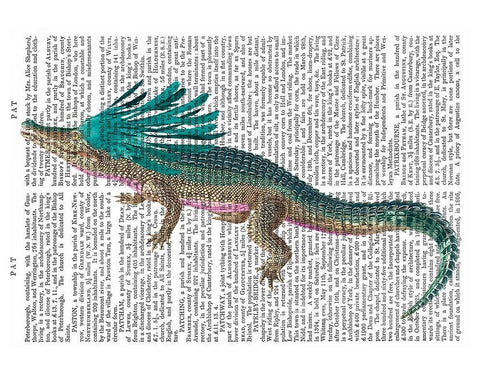 Crocodile with Headdress White Modern Wood Framed Art Print with Double Matting by Fab Funky