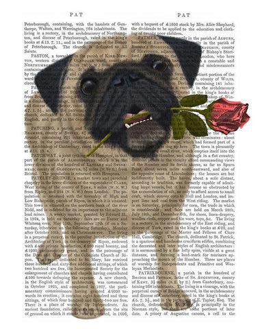 Pug and Rose White Modern Wood Framed Art Print with Double Matting by Fab Funky