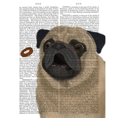 Pug, Catch 1 Black Modern Wood Framed Art Print with Double Matting by Fab Funky