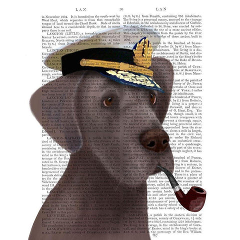 Great Dane Sea Dog Black Modern Wood Framed Art Print by Fab Funky