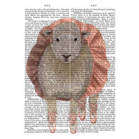 Ballet Sheep 1 Book Print Black Modern Wood Framed Art Print with Double Matting by Fab Funky