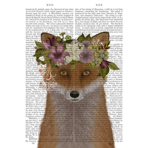 Fox Bohemian Book Print Black Modern Wood Framed Art Print with Double Matting by Fab Funky