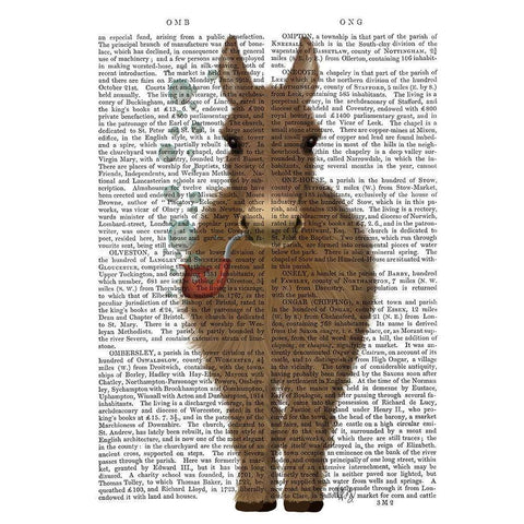 Donkey Bubble Pipe, Full Book Print White Modern Wood Framed Art Print by Fab Funky