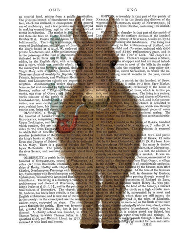 Donkey Bubble Pipe, Full Book Print White Modern Wood Framed Art Print with Double Matting by Fab Funky