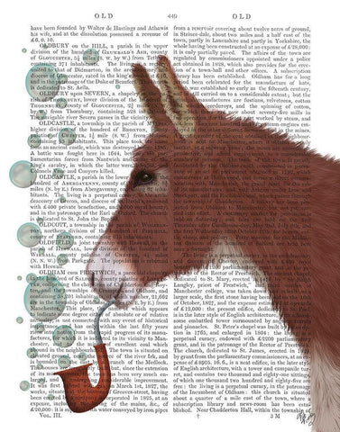 Donkey Bubble Pipe, Portrait Book Print Black Ornate Wood Framed Art Print with Double Matting by Fab Funky