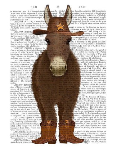 Donkey Cowboy Book Print White Modern Wood Framed Art Print with Double Matting by Fab Funky