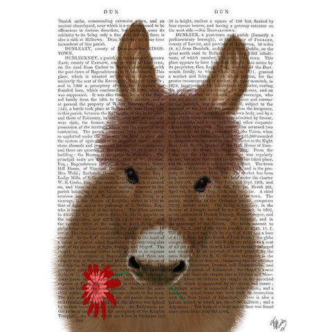 Donkey Red Flower Book Print Black Modern Wood Framed Art Print by Fab Funky