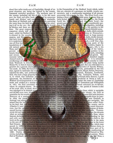 Donkey Sombrero Book Print Black Ornate Wood Framed Art Print with Double Matting by Fab Funky