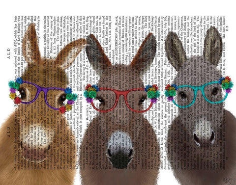 Donkey Trio Flower Glasses Book Print White Modern Wood Framed Art Print with Double Matting by Fab Funky