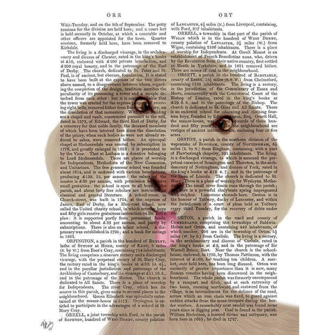 Funny Farm Goat 1 Book Print Black Modern Wood Framed Art Print by Fab Funky