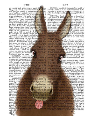 Funny Farm Donkey 1 Book Print Black Ornate Wood Framed Art Print with Double Matting by Fab Funky