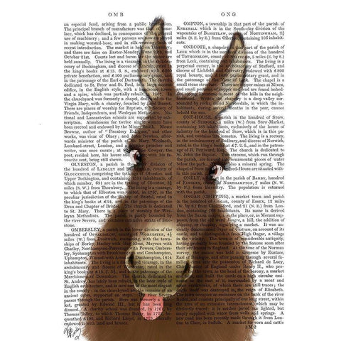 Funny Farm Donkey 1 Book Print Gold Ornate Wood Framed Art Print with Double Matting by Fab Funky