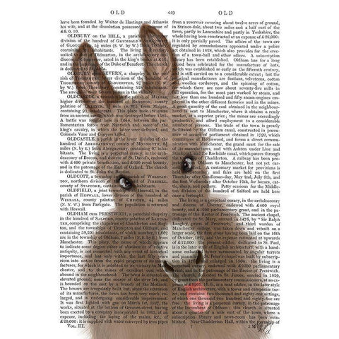 Funny Farm Donkey 2 Book Print Black Modern Wood Framed Art Print with Double Matting by Fab Funky