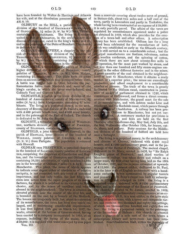 Funny Farm Donkey 2 Book Print White Modern Wood Framed Art Print with Double Matting by Fab Funky