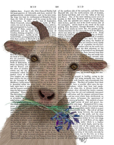 Goat and Bluebells Book Print White Modern Wood Framed Art Print with Double Matting by Fab Funky