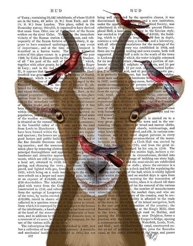 Goat and Red Birds Book Print White Modern Wood Framed Art Print with Double Matting by Fab Funky