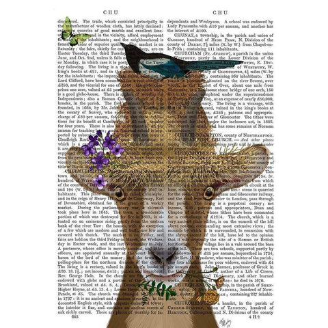 Goat In Straw Hat Book Print Black Modern Wood Framed Art Print with Double Matting by Fab Funky