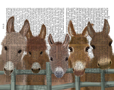 Donkey Herd at Fence Book Print White Modern Wood Framed Art Print with Double Matting by Fab Funky