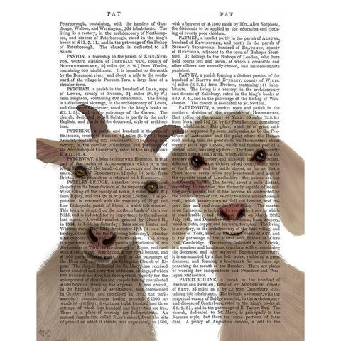 Goat Duo, Looking at You Book Print Black Modern Wood Framed Art Print with Double Matting by Fab Funky
