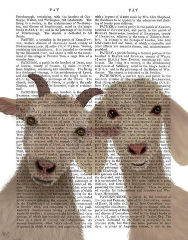 Goat Duo, Looking at You Book Print Black Ornate Wood Framed Art Print with Double Matting by Fab Funky
