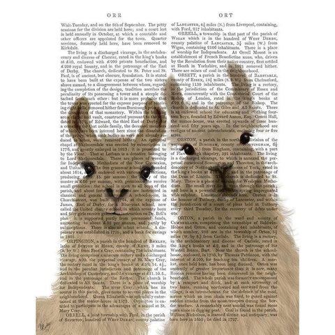 Llama Duo, Looking at You Book Print White Modern Wood Framed Art Print by Fab Funky