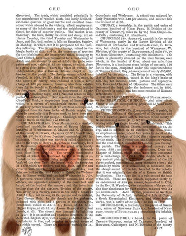 Cow Duo, Cream, Looking at You Book Print White Modern Wood Framed Art Print with Double Matting by Fab Funky