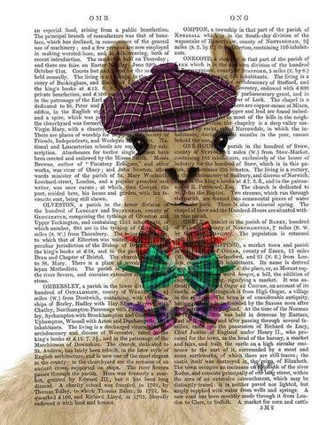 Llama Dapper Book Print Black Ornate Wood Framed Art Print with Double Matting by Fab Funky