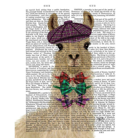 Llama Dapper Book Print Black Modern Wood Framed Art Print with Double Matting by Fab Funky