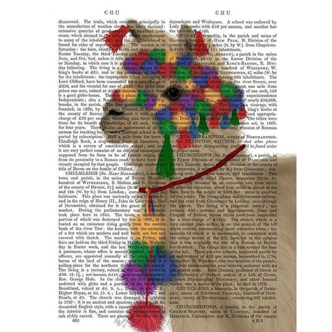 Llama Traditional 2, Portrait Book Print White Modern Wood Framed Art Print by Fab Funky