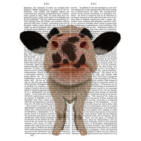 Nosey Cow 1 Book Print Gold Ornate Wood Framed Art Print with Double Matting by Fab Funky
