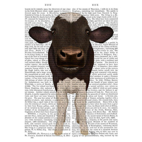 Nosey Cow 2 Book Print Black Modern Wood Framed Art Print with Double Matting by Fab Funky
