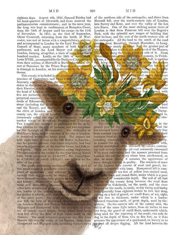 Sheep with Daffodil Crown Book Print White Modern Wood Framed Art Print with Double Matting by Fab Funky